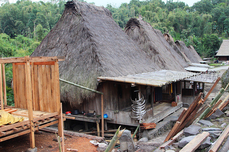 印度尼西亚:弗洛雷斯的Bena Hill部落村庄